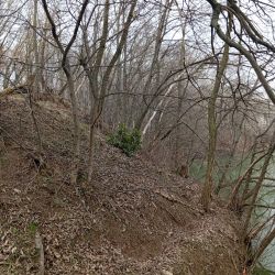 Budapest Ferencváros IX. kerületi Fèrfi szexpartner