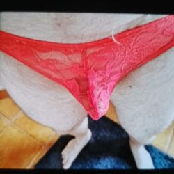 Esztergomi farok45 szexpartner