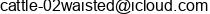 email mzperx